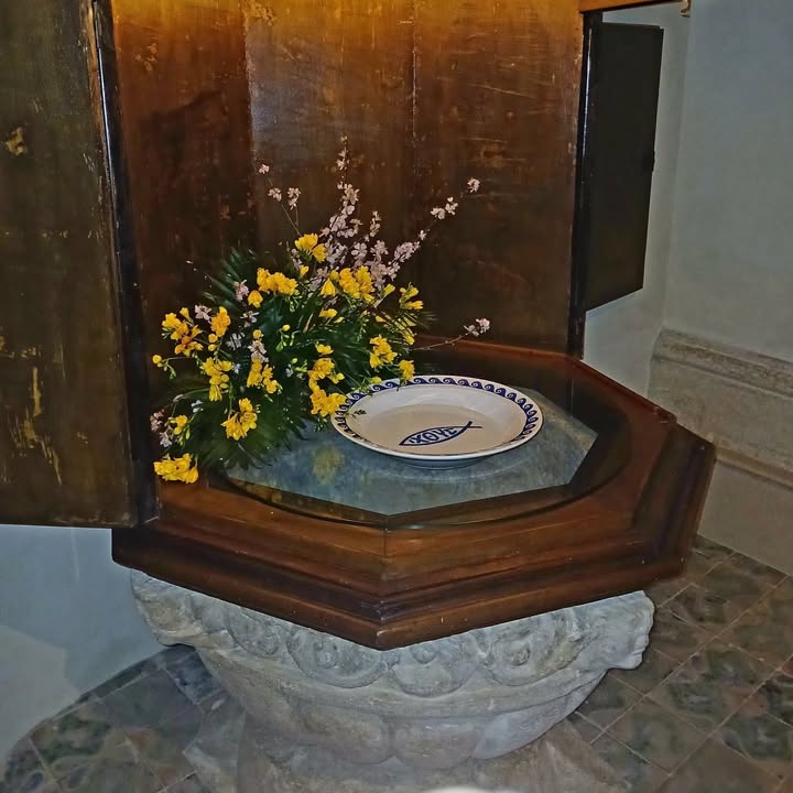 Parrocchia San Severino Abate Chiesa Matrice